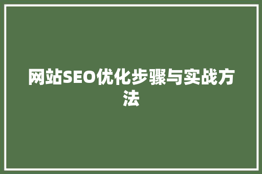 网站SEO优化步骤与实战方法