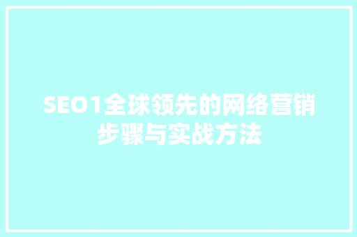 SEO1全球领先的网络营销步骤与实战方法
