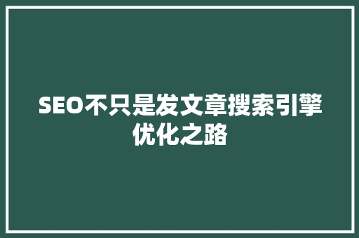 SEO不只是发文章搜索引擎优化之路