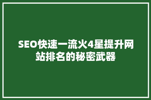 SEO快速一流火4星提升网站排名的秘密武器