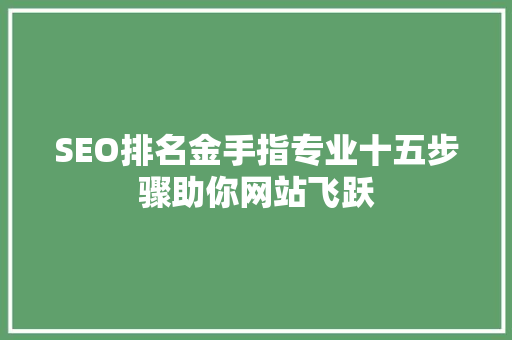SEO排名金手指专业十五步骤助你网站飞跃