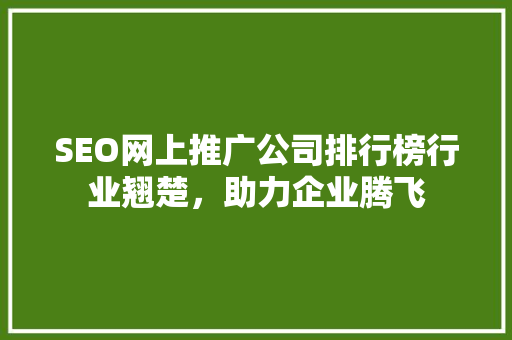 SEO网上推广公司排行榜行业翘楚，助力企业腾飞