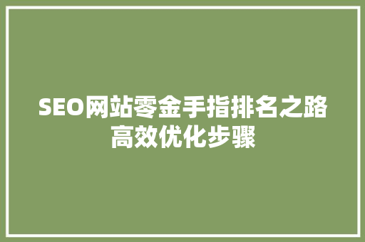 SEO网站零金手指排名之路高效优化步骤