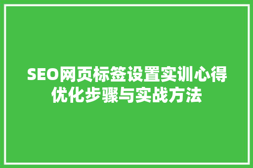SEO网页标签设置实训心得优化步骤与实战方法