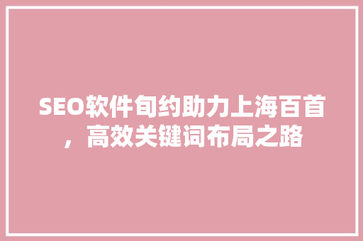 SEO软件旬约助力上海百首，高效关键词布局之路
