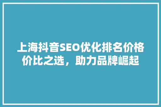 上海抖音SEO优化排名价格价比之选，助力品牌崛起