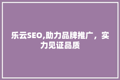 乐云SEO,助力品牌推广，实力见证品质