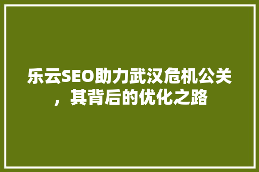乐云SEO助力武汉危机公关，其背后的优化之路