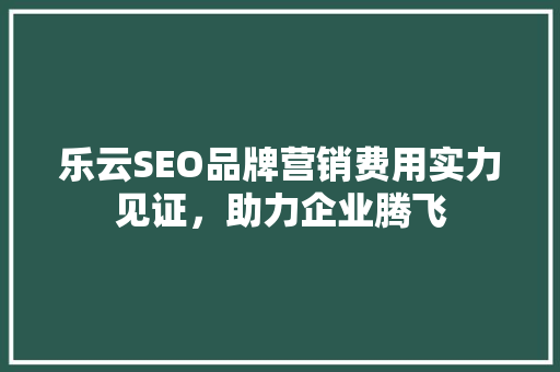乐云SEO品牌营销费用实力见证，助力企业腾飞