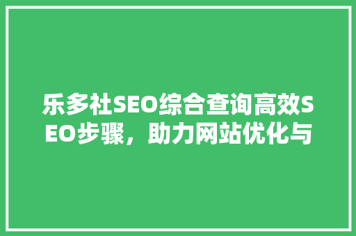 乐多社SEO综合查询高效SEO步骤，助力网站优化与提升