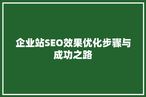 企业站SEO效果优化步骤与成功之路