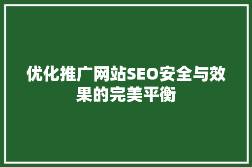 优化推广网站SEO安全与效果的完美平衡