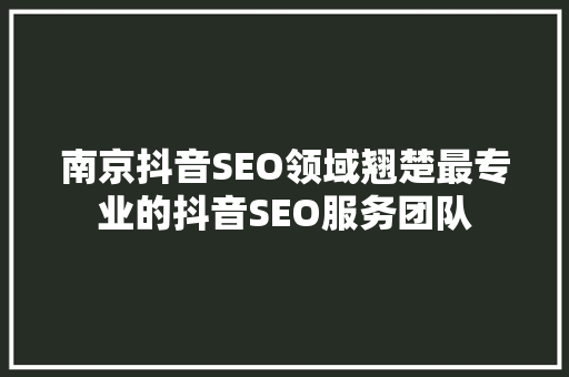 南京抖音SEO领域翘楚最专业的抖音SEO服务团队