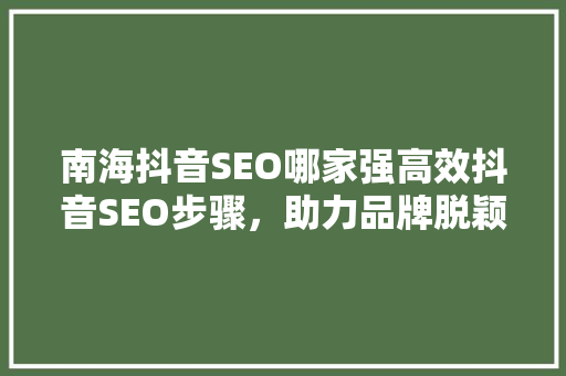 南海抖音SEO哪家强高效抖音SEO步骤，助力品牌脱颖而出
