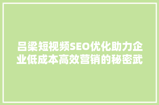 吕梁短视频SEO优化助力企业低成本高效营销的秘密武器