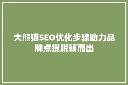 大熊猫SEO优化步骤助力品牌点搜脱颖而出