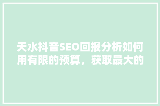 天水抖音SEO回报分析如何用有限的预算，获取最大的流量效益