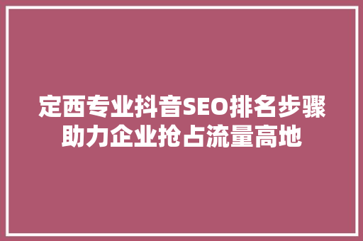 定西专业抖音SEO排名步骤助力企业抢占流量高地