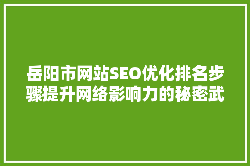 岳阳市网站SEO优化排名步骤提升网络影响力的秘密武器
