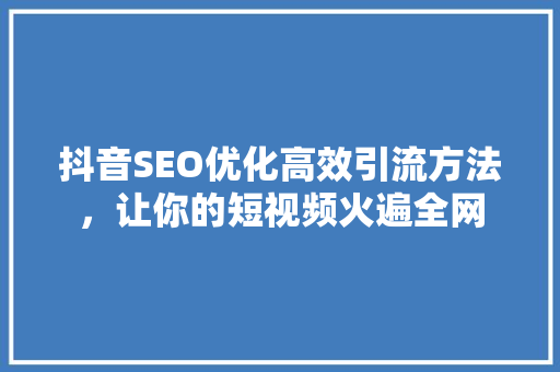 抖音SEO优化高效引流方法，让你的短视频火遍全网