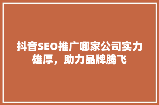 抖音SEO推广哪家公司实力雄厚，助力品牌腾飞