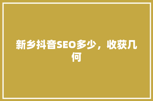 新乡抖音SEO多少，收获几何