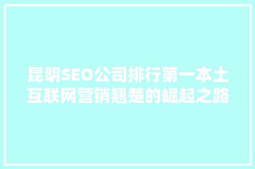 昆明SEO公司排行第一本土互联网营销翘楚的崛起之路