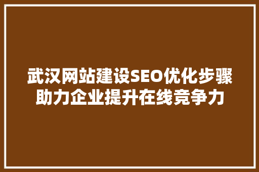 武汉网站建设SEO优化步骤助力企业提升在线竞争力