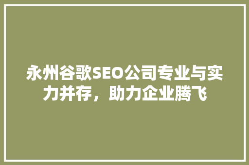 永州谷歌SEO公司专业与实力并存，助力企业腾飞