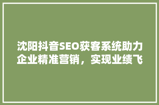 沈阳抖音SEO获客系统助力企业精准营销，实现业绩飞跃