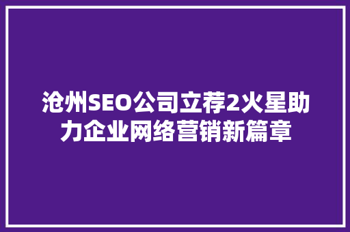 沧州SEO公司立荐2火星助力企业网络营销新篇章