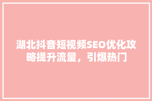 湖北抖音短视频SEO优化攻略提升流量，引爆热门