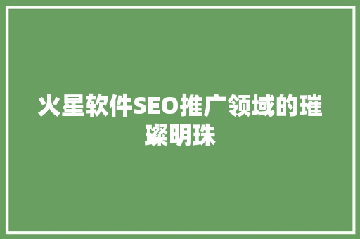 火星软件SEO推广领域的璀璨明珠
