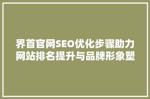 界首官网SEO优化步骤助力网站排名提升与品牌形象塑造