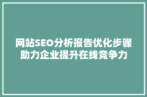 网站SEO分析报告优化步骤助力企业提升在线竞争力