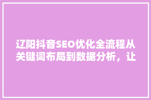 辽阳抖音SEO优化全流程从关键词布局到数据分析，让你的抖音账号脱颖而出