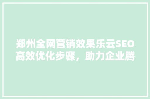 郑州全网营销效果乐云SEO高效优化步骤，助力企业腾飞