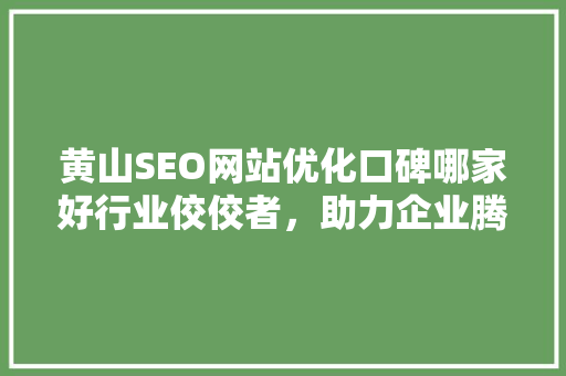 黄山SEO网站优化口碑哪家好行业佼佼者，助力企业腾飞