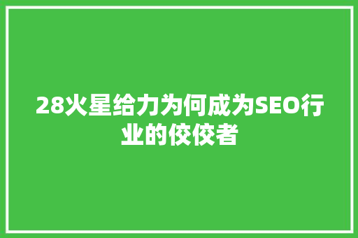 28火星给力为何成为SEO行业的佼佼者