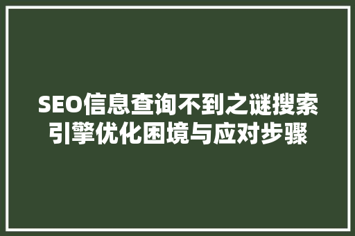 SEO信息查询不到之谜搜索引擎优化困境与应对步骤