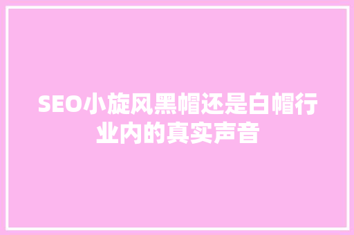 SEO小旋风黑帽还是白帽行业内的真实声音