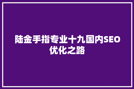 陆金手指专业十九国内SEO优化之路
