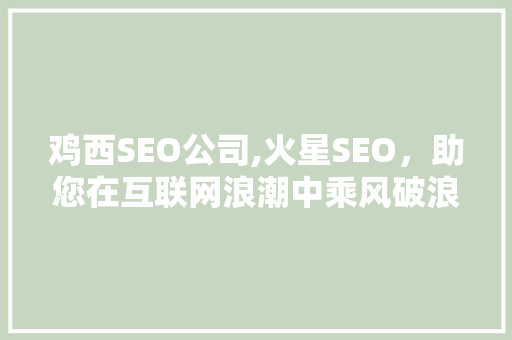 鸡西SEO公司,火星SEO，助您在互联网浪潮中乘风破浪