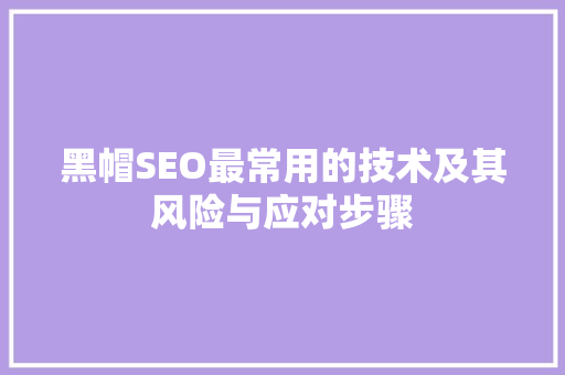 黑帽SEO最常用的技术及其风险与应对步骤