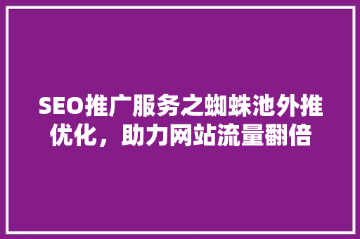 SEO推广服务之蜘蛛池外推优化，助力网站流量翻倍