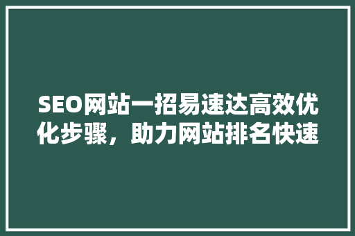 SEO网站一招易速达高效优化步骤，助力网站排名快速提升
