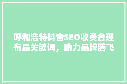 呼和浩特抖音SEO收费合理布局关键词，助力品牌腾飞