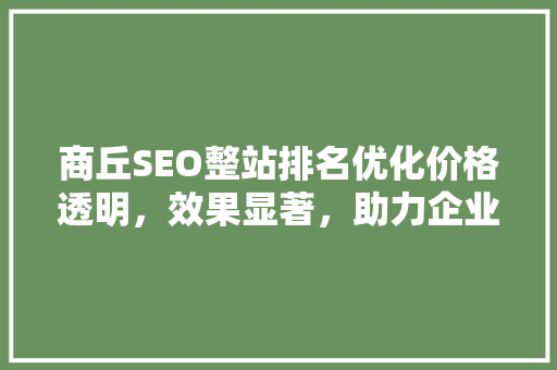 商丘SEO整站排名优化价格透明，效果显著，助力企业腾飞