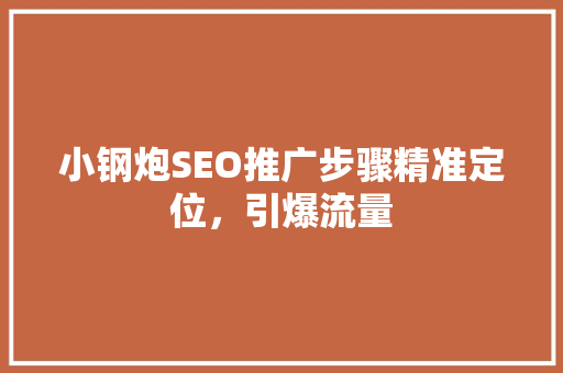 小钢炮SEO推广步骤精准定位，引爆流量