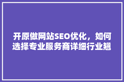 开原做网站SEO优化，如何选择专业服务商详细行业翘楚